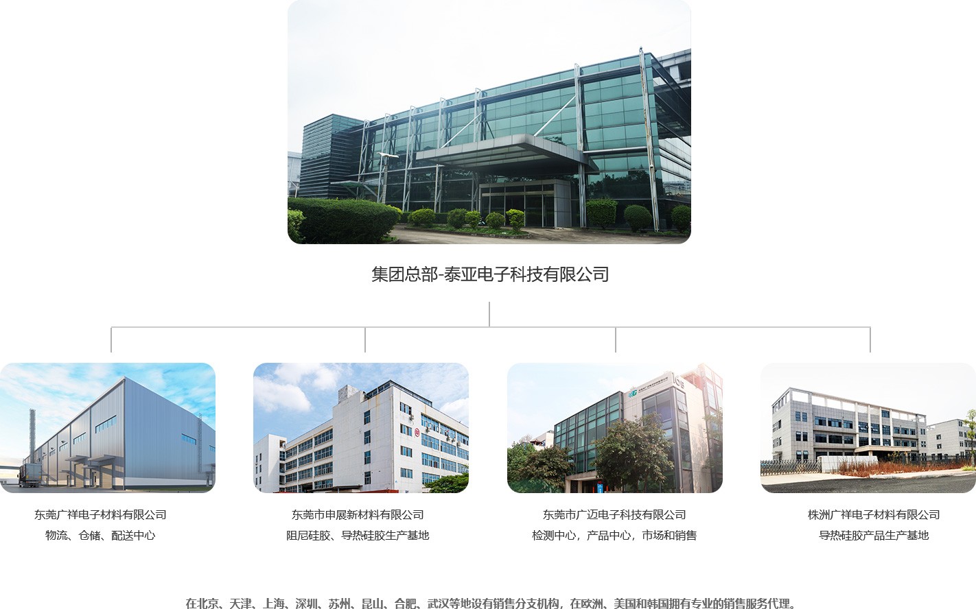 集团架构